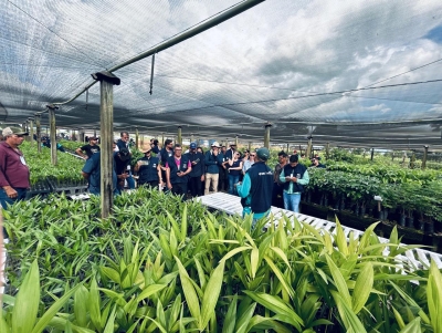 agricultura-1 Viveiro Municipal de Corumbiara é premiado por excelência em Preservação Ambiental